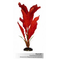 Шёлковое растение Plant 041-Апоногетон Мадагаскарский, Красный, в БЛИСТЕРЕ