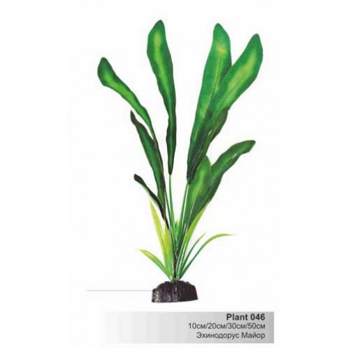 Шёлковое растение Plant 046--ЭХИНОДОРУС МАЙОР зеленый в БЛИСТЕРЕ
