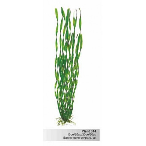 Пластиковое растение Plant 014- Валиснерия спиральная ЗЕЛЕНАЯ