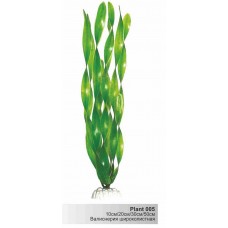 Пластиковое растение Plant 005-Валиснерия широколистная